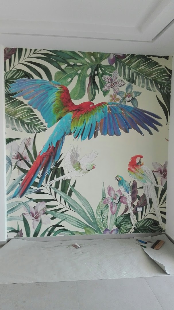 Decor Color Di Massimo Macario — Foto 1